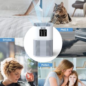 vewior air purifier review
