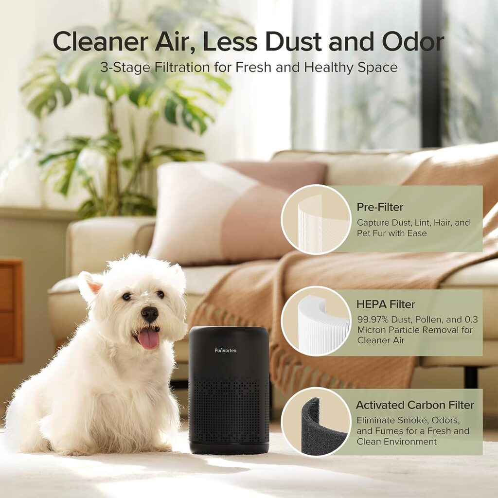 Air Purifiers for Bedroom, HEPA Air Purifiers, Air Cleaner for Smoke A11ergies Dander Hair Odor, Portable Air Purifier with Fragrance Sponge Sleep Mode Speed Control - AC300 Black : Home  Kitchen