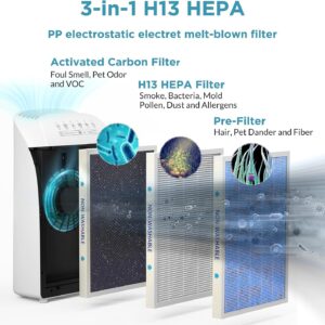 msa3 air purifier review