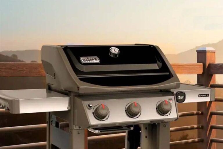 Big Green Egg Large Charcoal Grill Review