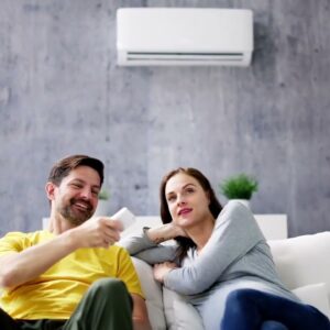 cost for ductless mini split