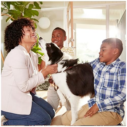 Filtrete 12x24x1 AC Furnace Air Filter, MERV 12, MPR 1500, CERTIFIED asthma & allergy friendly, 3 Month Pleated 1-Inch Electrostatic Air Cleaning Filter, 6-Pack (Actual Size 11.69x23.69x0.78 in)