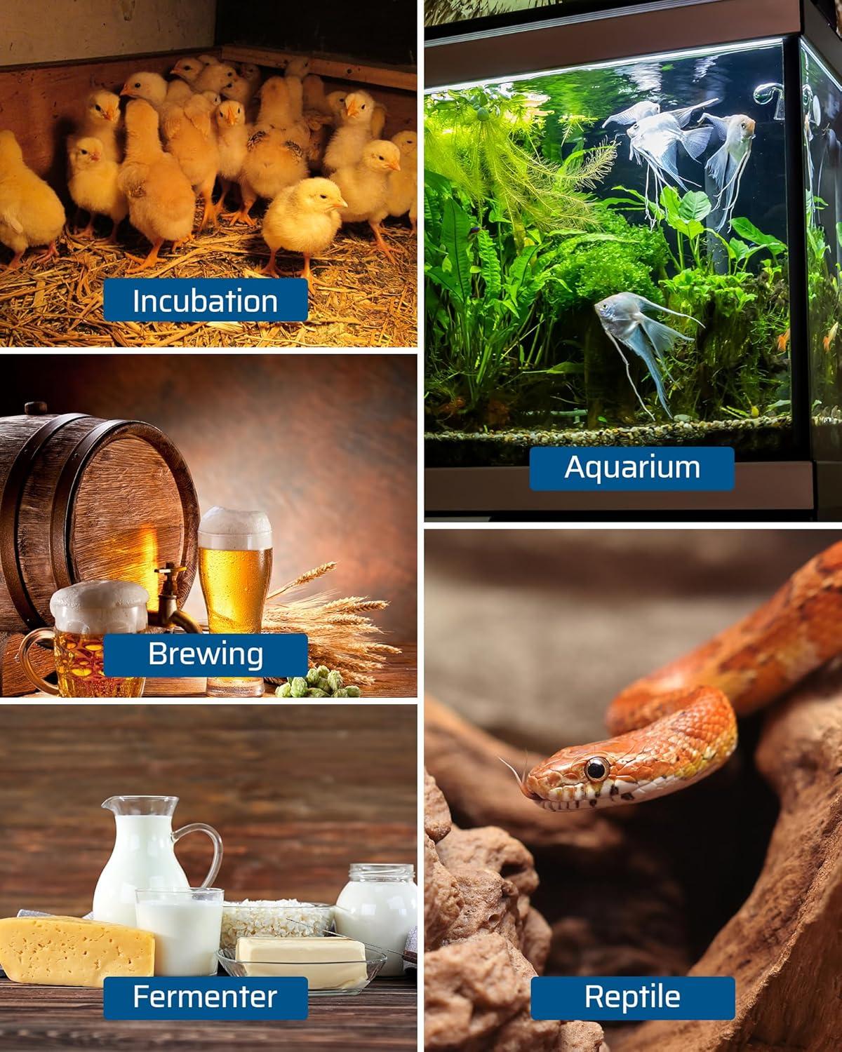 DEWENWILS Digital Thermostat Controller: Precision Temperature Management for Any Application